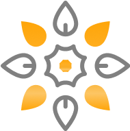 ⁠Customisation, including <br>printing and dyeing 